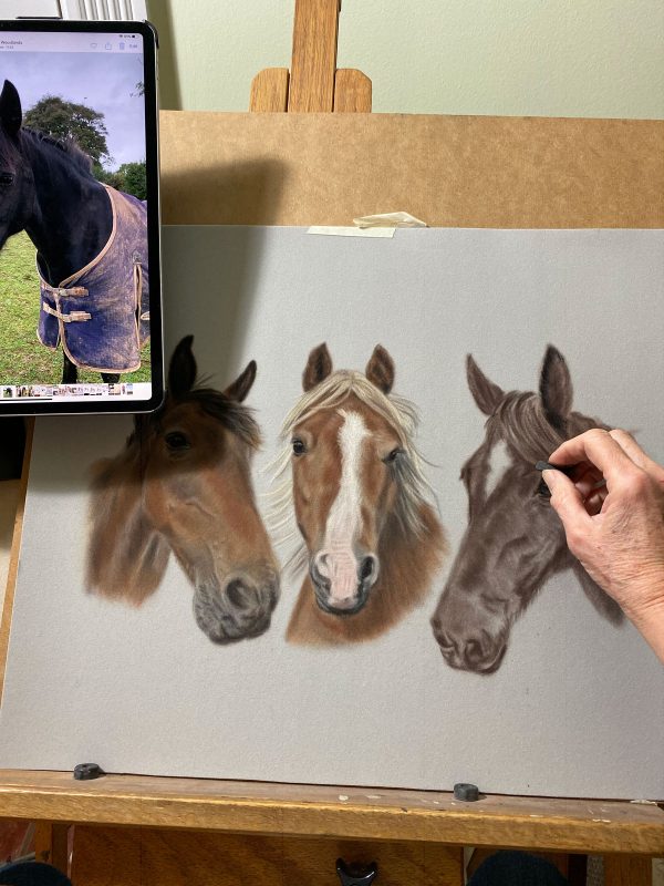 portraits of pets - horses
