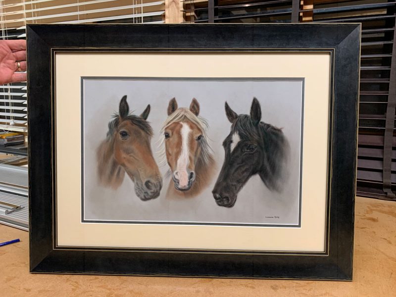 portraits of pets - horses framed