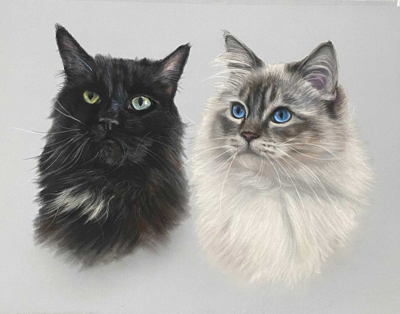 Cat portrait of two cats by Lorraine Gray
