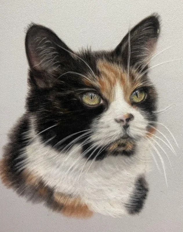 Cat Portrait 2024