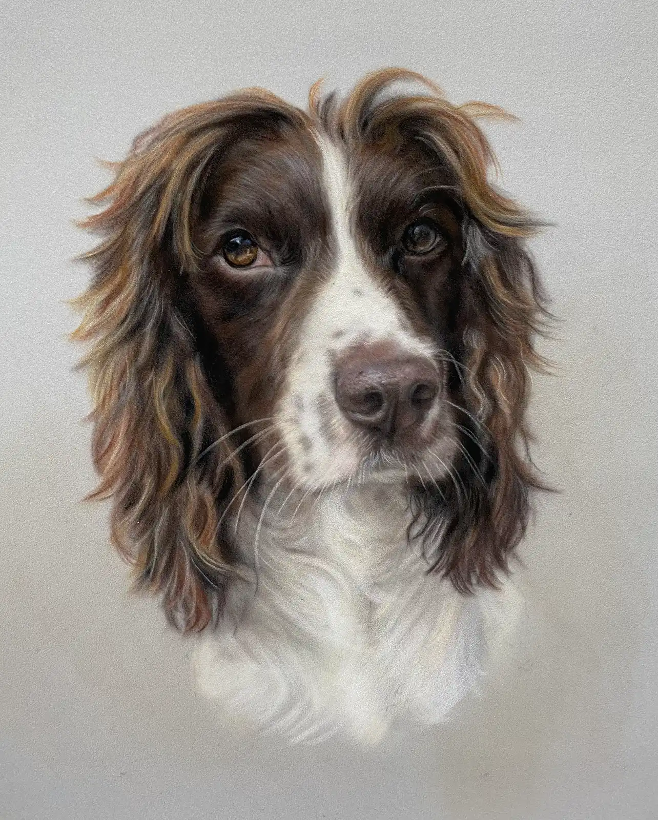 Custom Pet Portraits