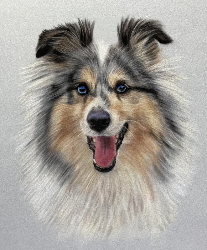 Laska The Sheltie